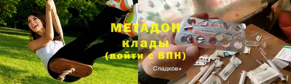 прущие грибы Алексеевка