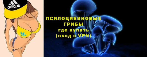 прущие грибы Алексеевка