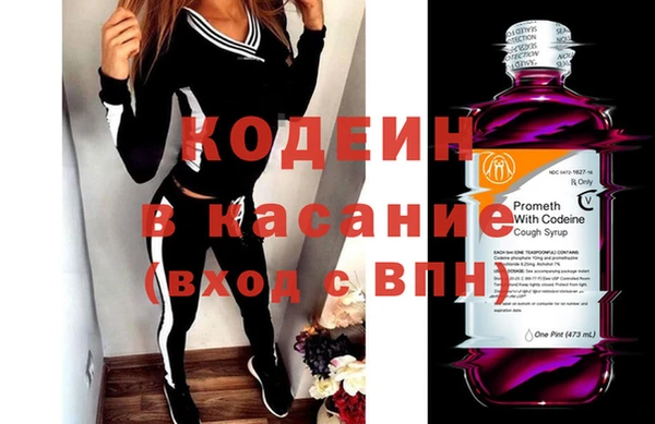 прущие грибы Алексеевка