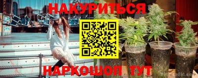 прущие грибы Ипатово