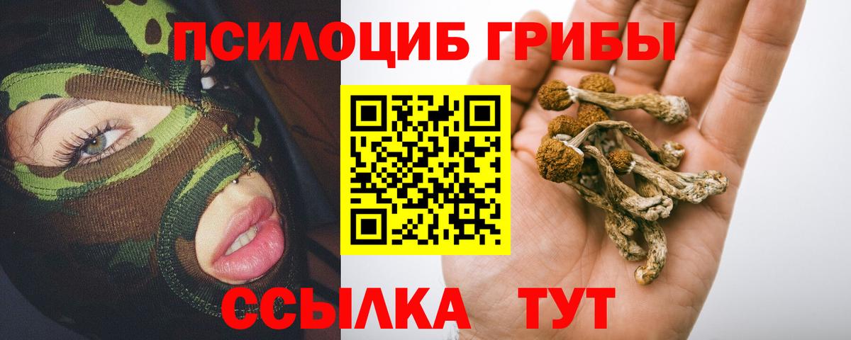 Галлюциногенные грибы Magic Shrooms Магадан